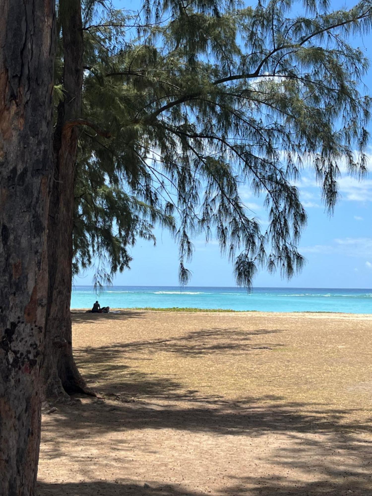Flic-en-FlacqTropical Retreats公寓 外观 照片